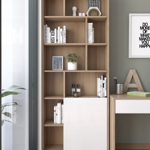 KỆ SÁCH ĐƠN GIẢN HIỆN ĐẠI - KSD09